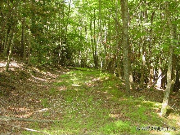 HARDWOODS AND RHODOS