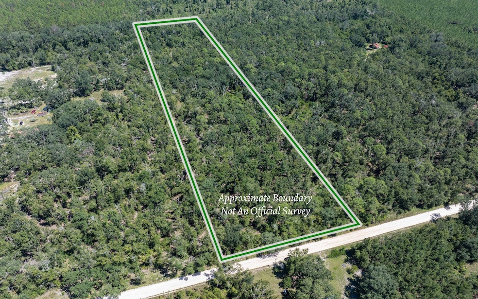 TBD 145th Rd, McAlpin, FL 32062 - photo 1