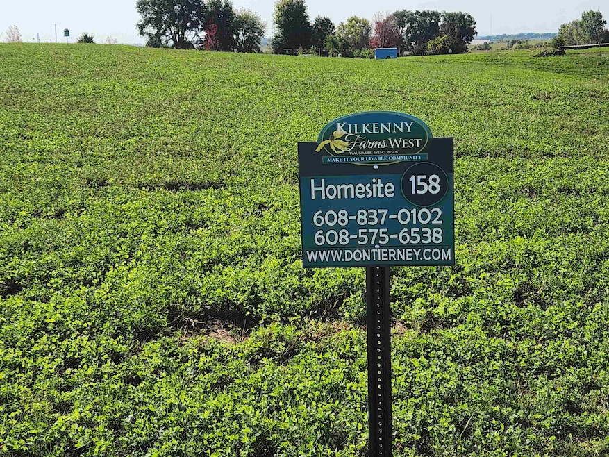 1601 Fred Schunk Ct, Waunakee, WI 53597 - photo 1