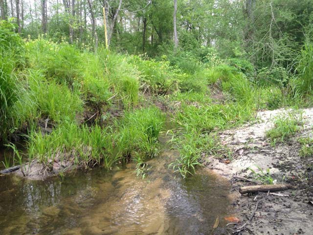 0 Coppers Ford Rd, Tylertown, MS 39667 - photo 1