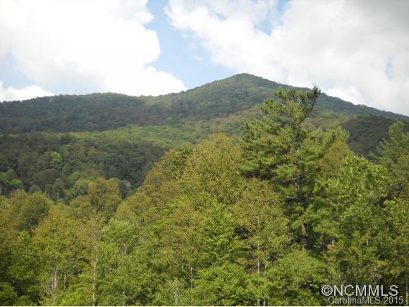 000 Tryst Dr, Asheville, NC 28805 - photo 1