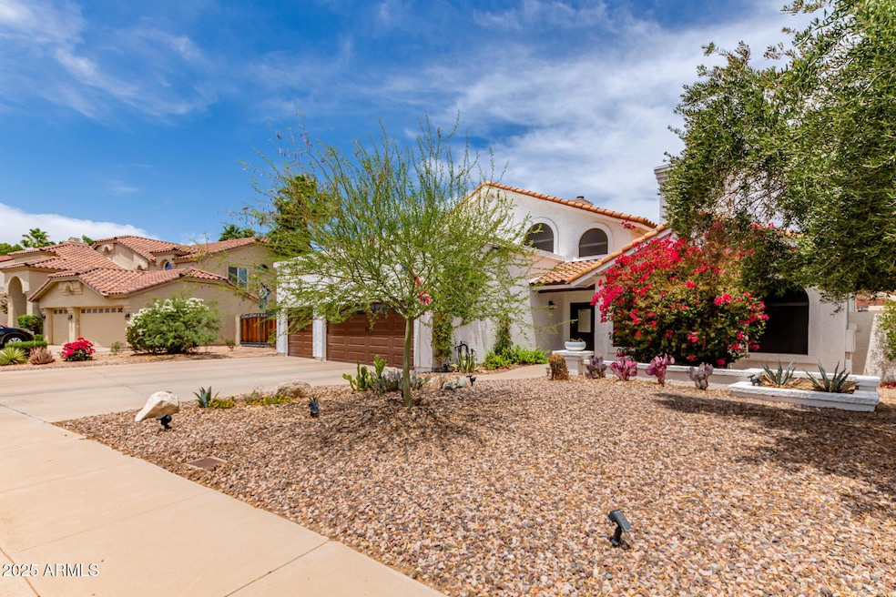 1 - Desert Willow