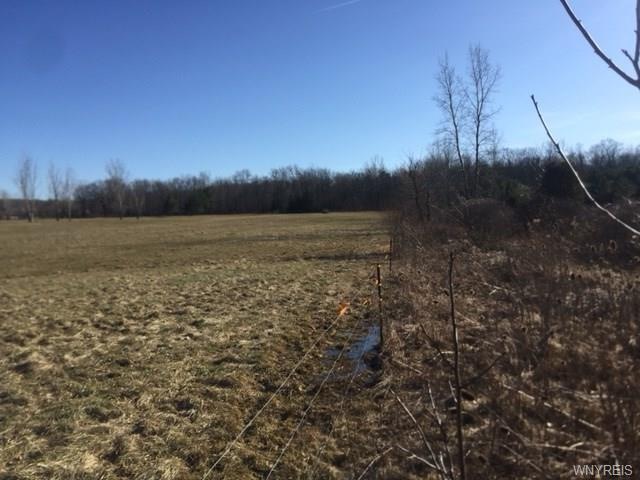 Pasture being leased to neighbor