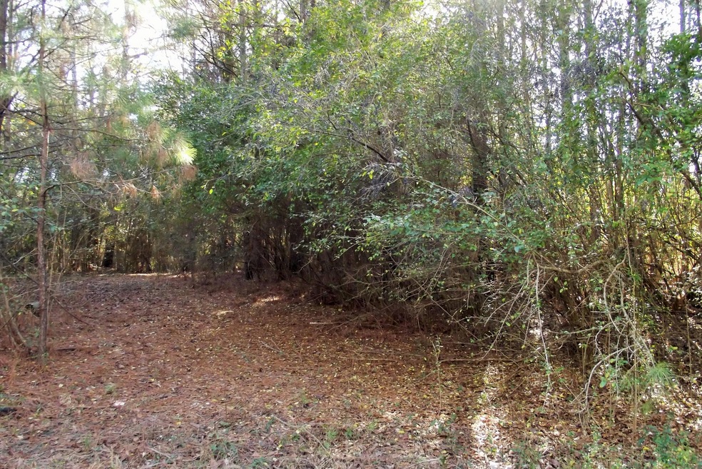 40 Dick Sumrall Rd, Laurel, MS 39443 - photo 1