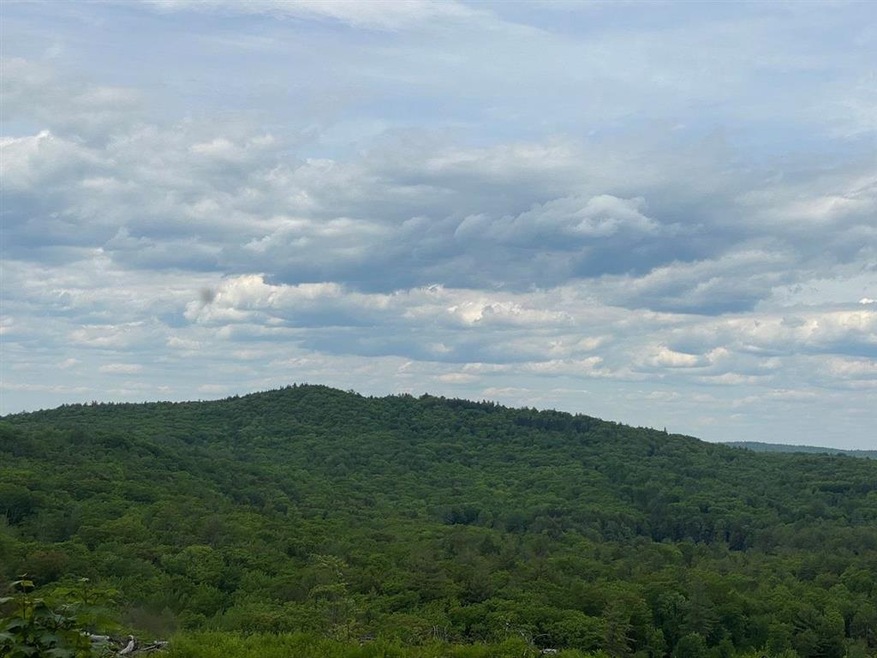 0 Old Swanzey Rd unit Map 18 Lot B004, Chesterfield, NH 03462 - photo 1