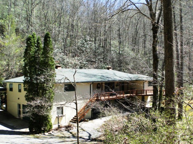 Main View
