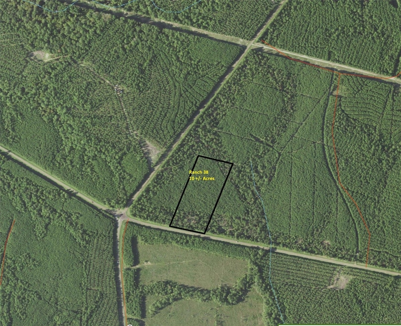 Tract 38 Highway 83, Pineland, TX 75930 - photo 1