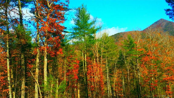 Overlook2