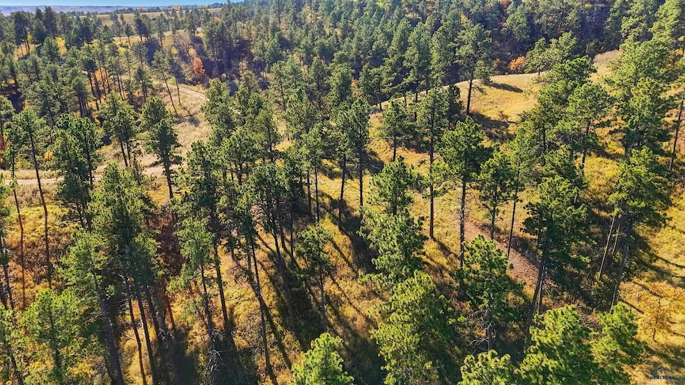 Lot17A W Minnesota St, Rapid City, SD 57701 - photo 1