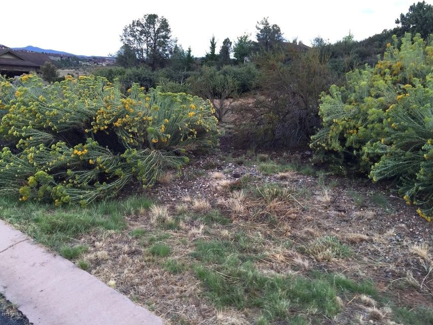 lot 17 photo