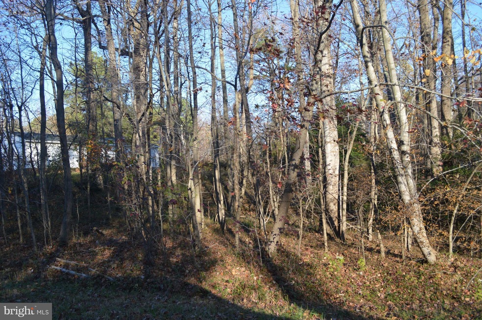 0 Declaration Dr unit 1000217490, Montross, VA 22520 - photo 1