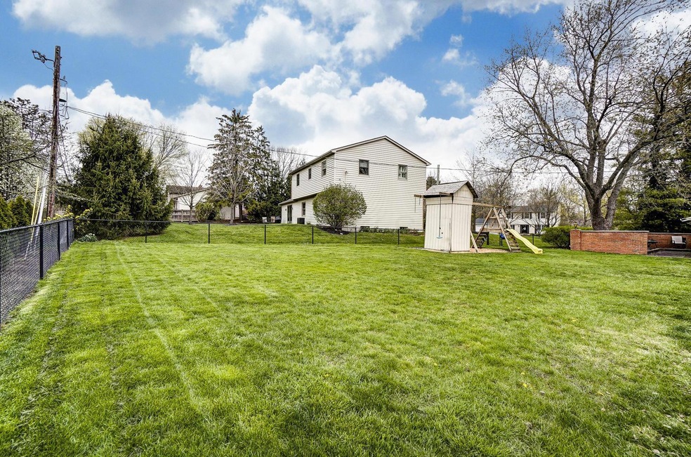 Backyard 1