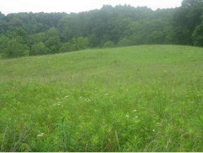 0 Stacy Rd unit 265076, Metamora, IN 47030 - photo 1