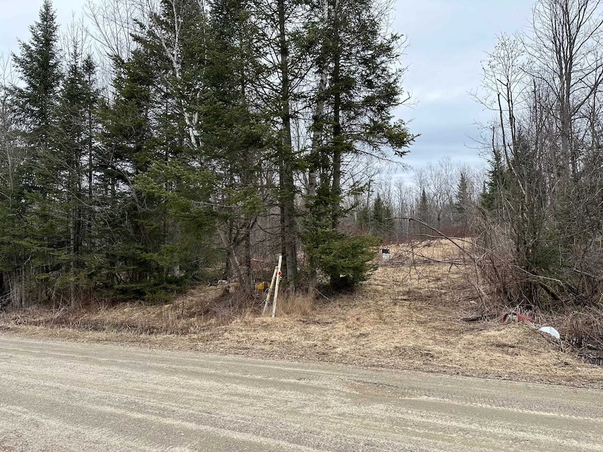 1602 Morin Rd, Guildhall, VT 05905 - photo 1