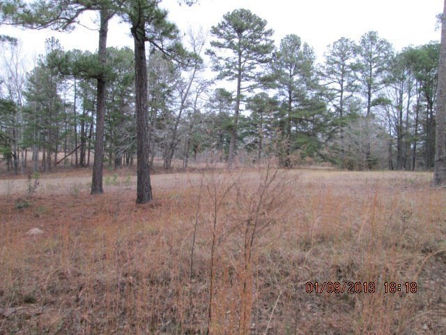 . County Line Rd, Haddock, GA 31033 - photo 1
