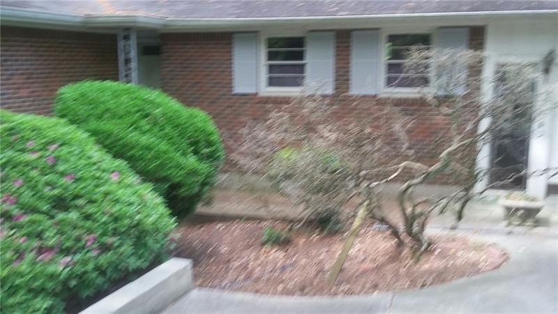 Front View