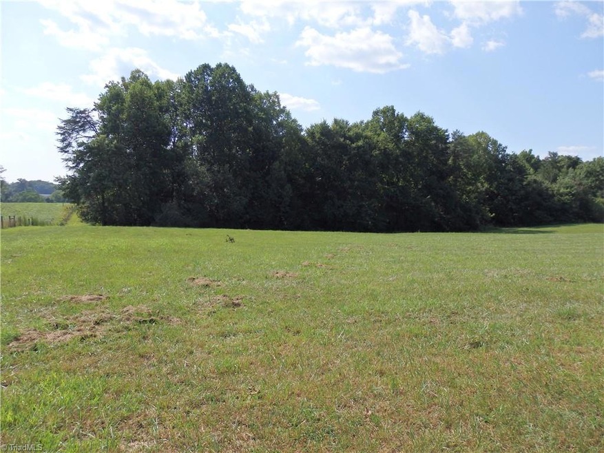 00 Pleasant Ridge Rd, Franklinville, NC 27248 - photo 1