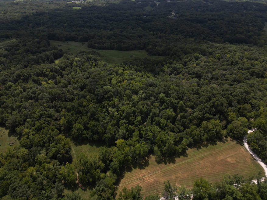 DJI_0430
