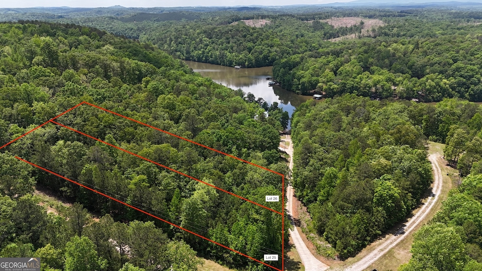 LOT 25 Sawyer Boat Ramp Rd, Wedowee, AL 36278 - photo 1