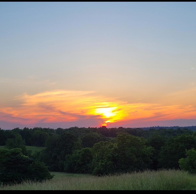 2640 Fords Mill Rd unit C, Versailles, KY 40383 - photo 1