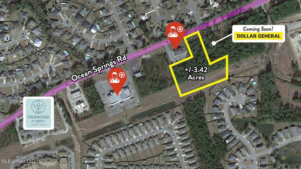 Satellite View