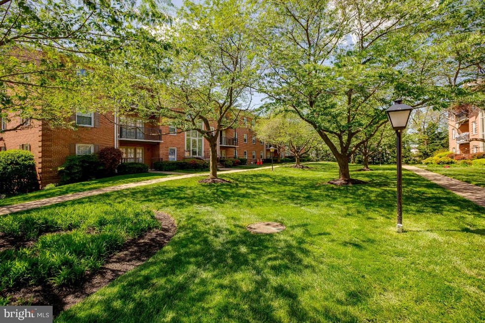 3336 Spring Ln unit A30, Baileys Crossroads, VA 22041 - photo 1