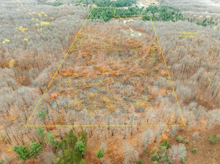 0 Mancelona Rd unit 25571179, Mancelona, MI 49659 - photo 1