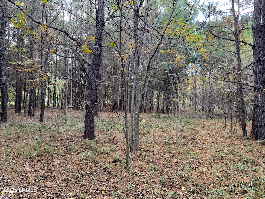 37 Pearl Harbor Dr, Seabrook, SC 29940 - photo 1