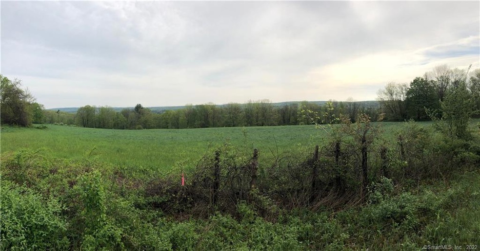 596 Hill Rd, Harwinton, CT 06791 - photo 1