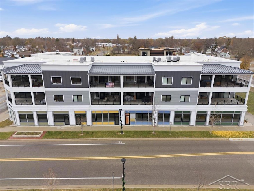 201 E Ellsworth St unit 302, Midland, MI 48640 - photo 1