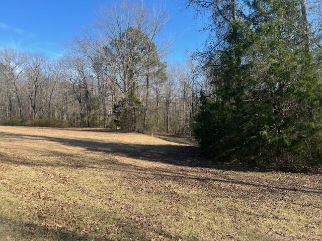 0 Webster Cir, Vernon, AL 35592 - photo 1