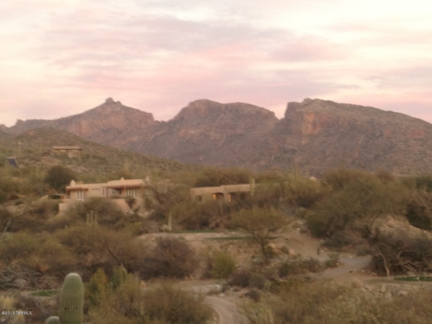 Desert Moon Lot 040