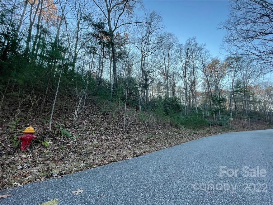 TBD Yates Ln unit 116, Lake Lure, NC 28746 - photo 1