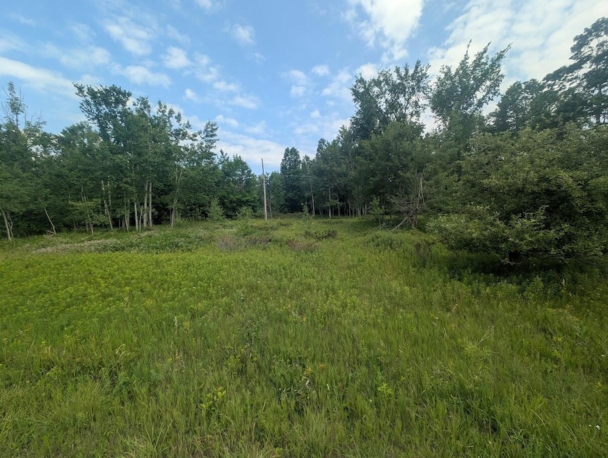 PXL_20250709_154643487