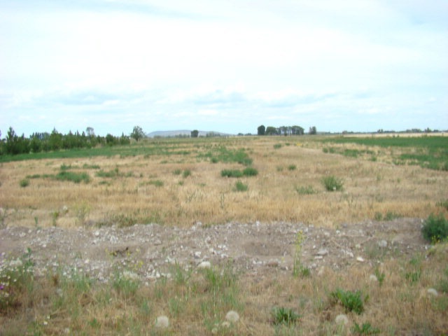 Main View