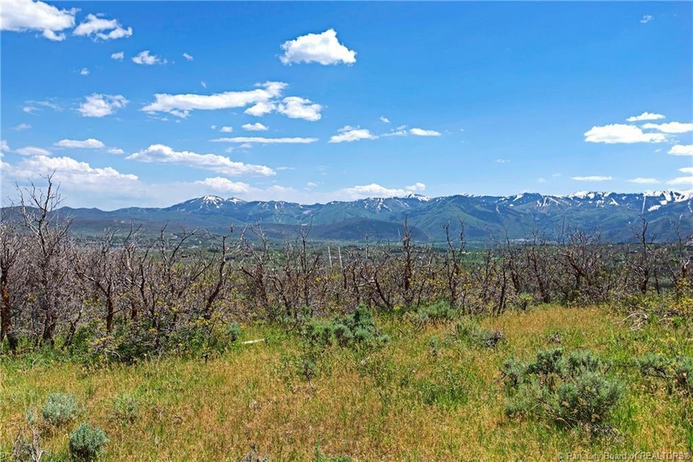 South view to ski areas