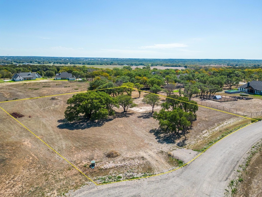 304 Hopsing Ct, Weatherford, TX 76087 - photo 1