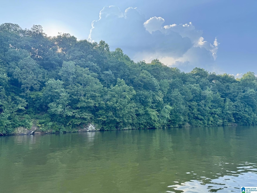 0 Wright Way Dr unit 21423149, Wedowee, AL 36278 - photo 1