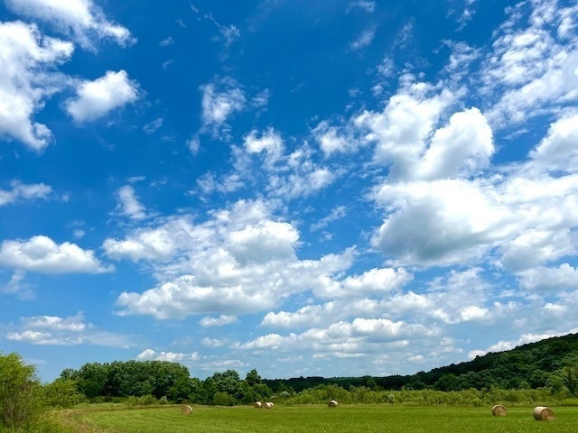 0 Lamor Rd, Mercer, PA 16137 - photo 1