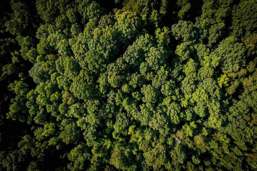 0 Carson Segars Rd unit 9007071, Maysville, GA 30558 - photo 1