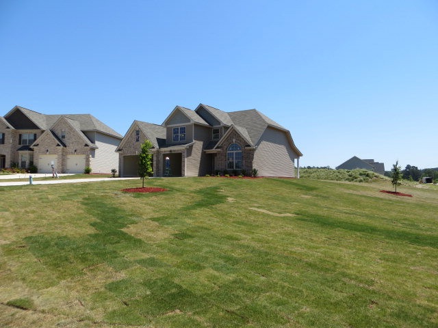 Main View