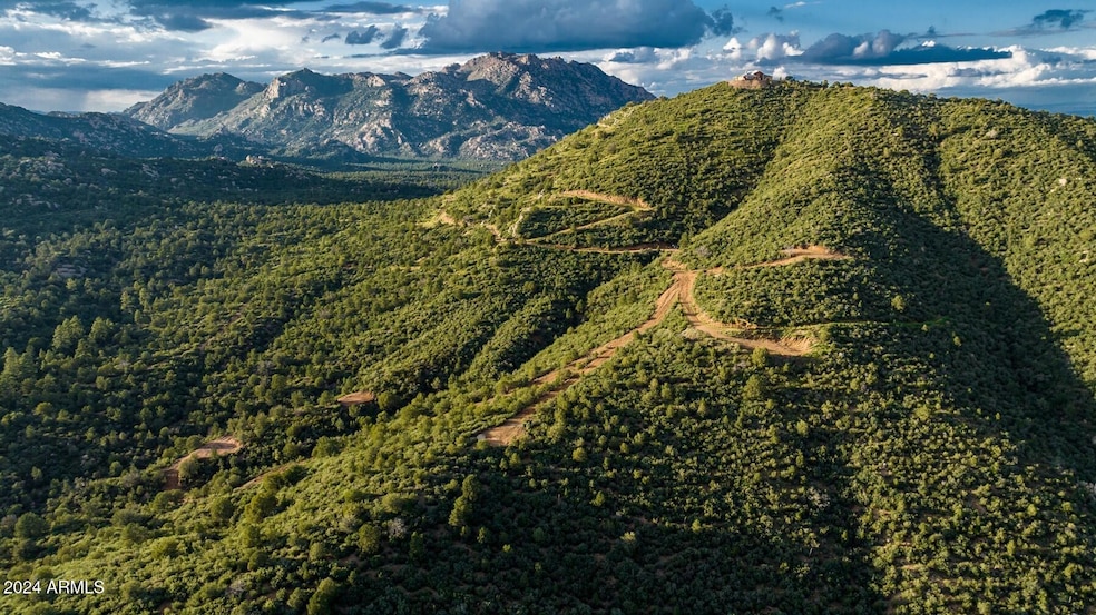 Prescott's National Forest