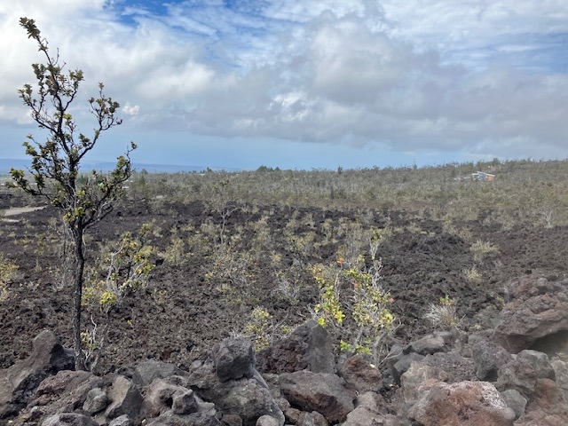 Ocean, coastline and South Point views.