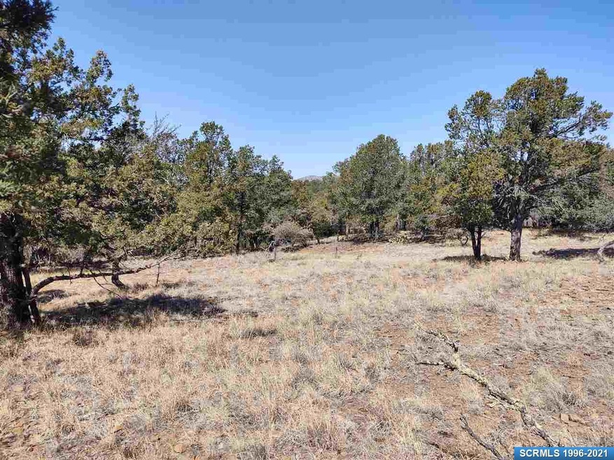 0 Fotis Rd, Silver City, NM 88061 - photo 1