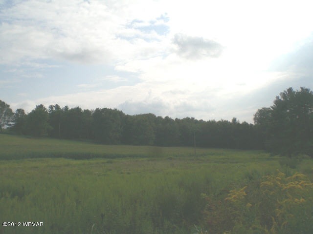 915 Lockard Rd, Pennsdale, PA 17756 - photo 1