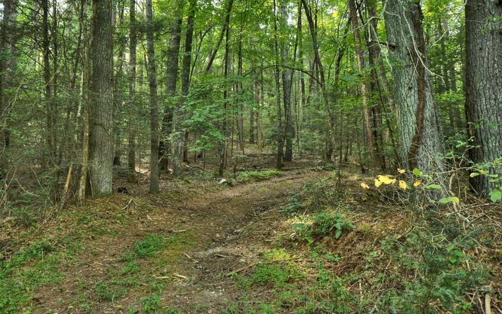 15.5A Doublehead Gap Rd, Blue Ridge, GA 30513 - photo 1