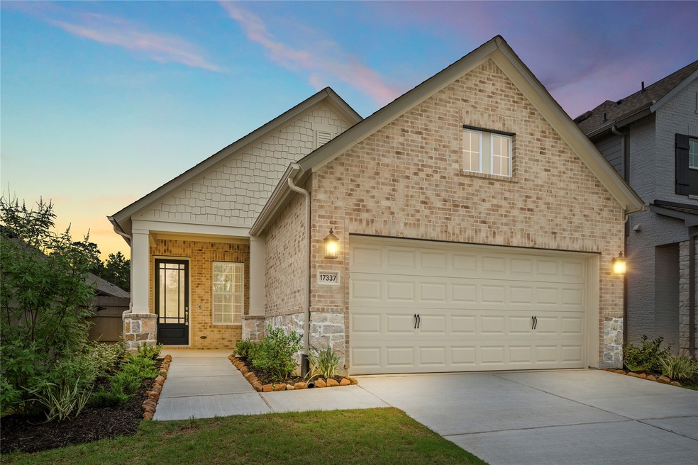 17337 Merlot Skies St, Woodloch, TX 77302 - photo 1