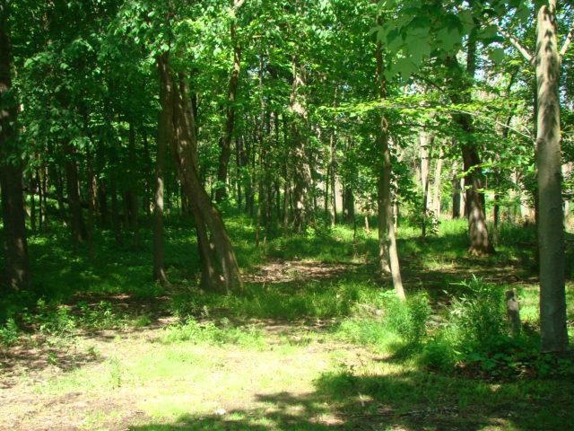 Build Your Home Here