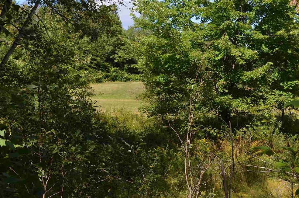 Lot 5 Trailview, Ludlow, VT 05149 - photo 1