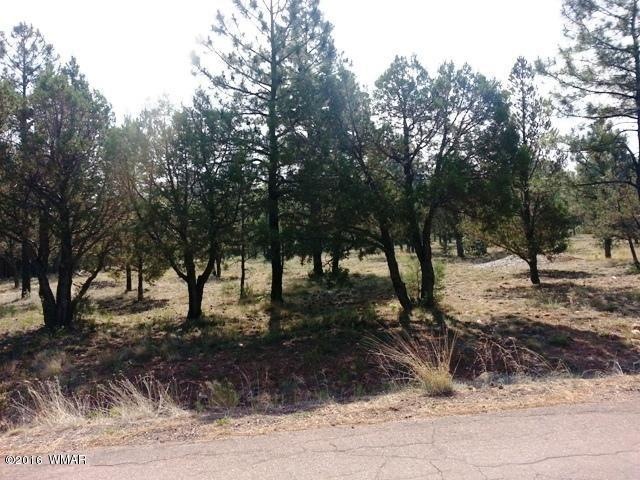 1001 S 11th St, Show Low, AZ 85901 - photo 1